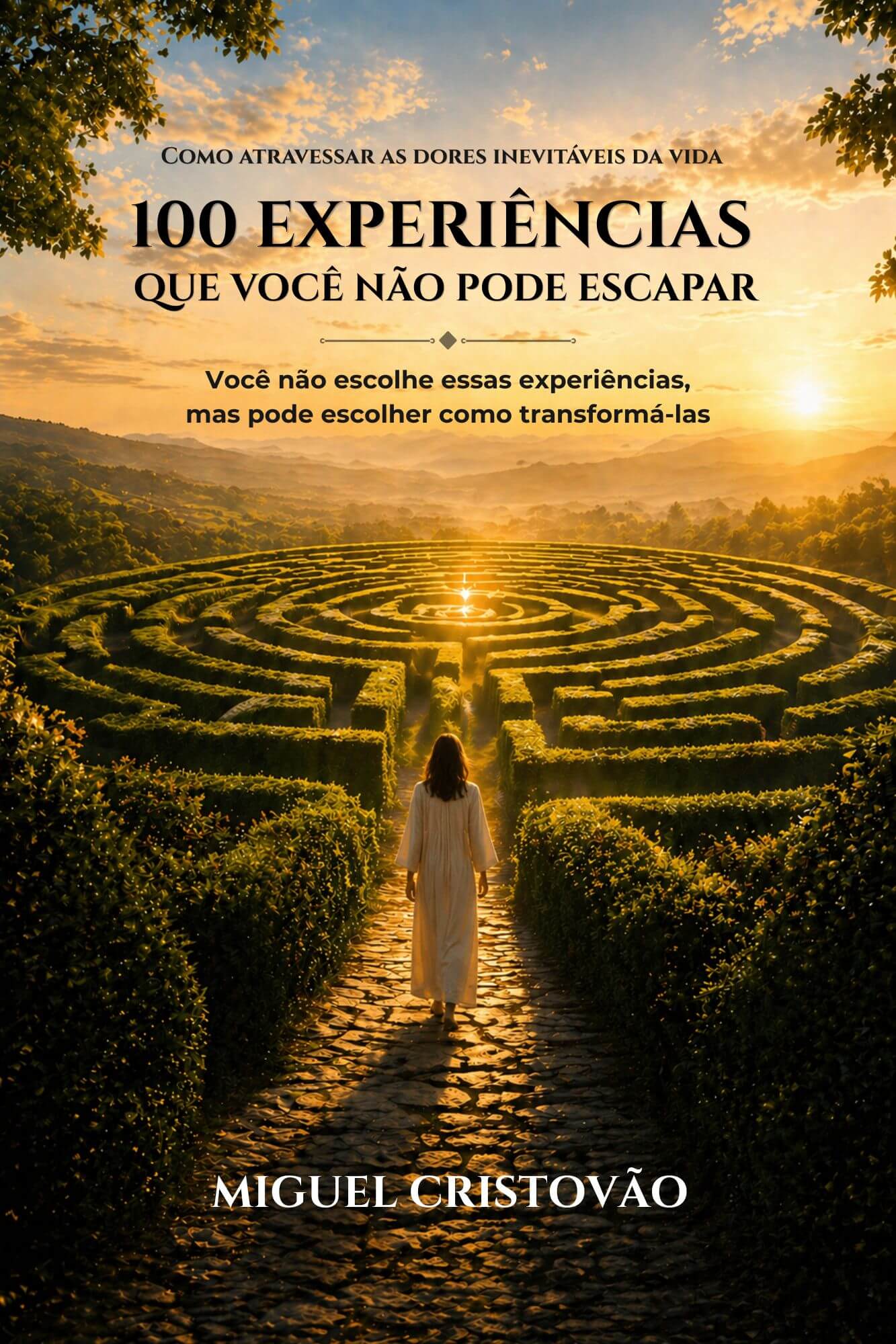 Capa do eBook